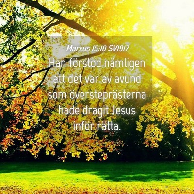 Picture 04 - Markus 15:10 SV1917 - Han förstod nämligen att det var av avund som - Bible Verse Picture