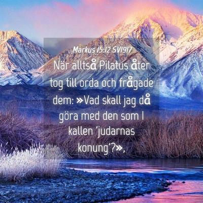 Picture 04 - Markus 15:12 SV1917 - När alltså Pilatus åter tog till orda och - Bible Verse Picture