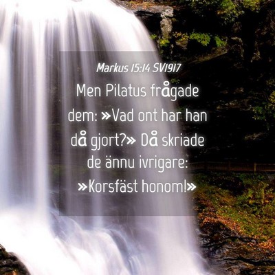 Picture 04 - Markus 15:14 SV1917 - Men Pilatus frågade dem: »Vad ont har han då - Bible Verse Picture