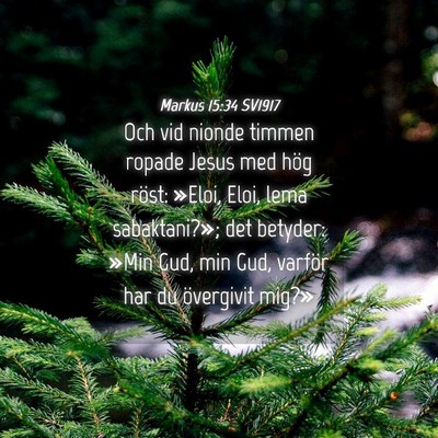 Picture 04 - Markus 15:34 SV1917 - Och vid nionde timmen ropade Jesus med hög - Bible Verse Picture