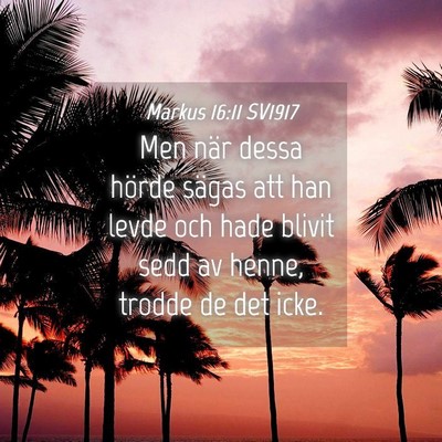 Picture 04 - Markus 16:11 SV1917 - Men när dessa hörde sägas att han levde och - Bible Verse Picture