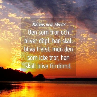 Picture 04 - Markus 16:16 SV1917 - Den som tror och bliver döpt, han skall bliva - Bible Verse Picture
