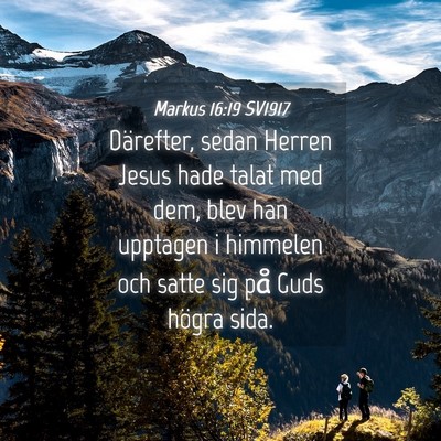 Picture 04 - Markus 16:19 SV1917 - Därefter, sedan Herren Jesus hade talat med dem, - Bible Verse Picture