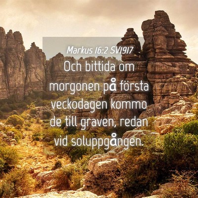 Picture 04 - Markus 16:2 SV1917 - Och bittida om morgonen på första veckodagen - Bible Verse Picture
