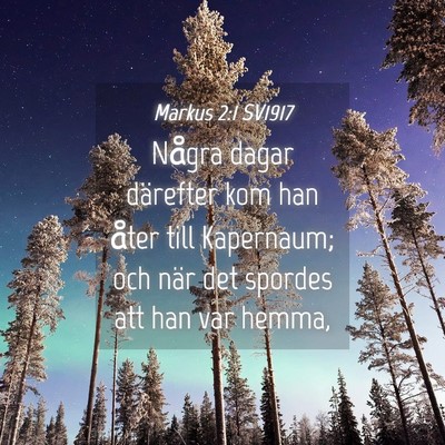 Picture 04 - Markus 2:1 SV1917 - Några dagar därefter kom han åter till - Bible Verse Picture