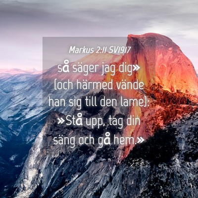 Picture 04 - Markus 2:11 SV1917 - så säger jag dig» (och härmed vände han sig - Bible Verse Picture