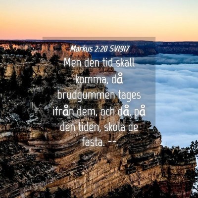 Picture 04 - Markus 2:20 SV1917 - Men den tid skall komma, då brudgummen tages - Bible Verse Picture