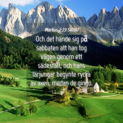 Picture 04 - Markus 2:23 SV1917 - Och det hände sig på sabbaten att han tog - Bible Verse Picture