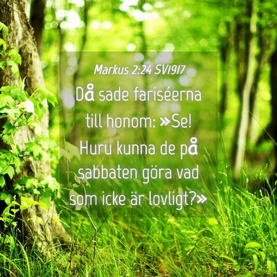 Picture 04 - Markus 2:24 SV1917 - Då sade fariséerna till honom: »Se! Huru kunna - Bible Verse Picture
