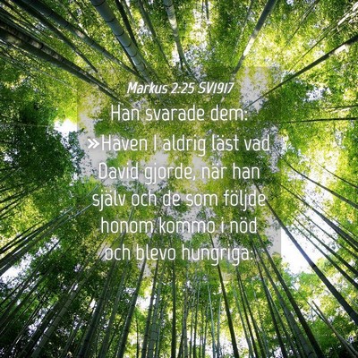 Picture 04 - Markus 2:25 SV1917 - Han svarade dem: »Haven I aldrig läst vad David - Bible Verse Picture