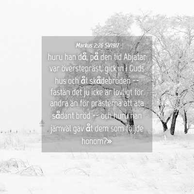 Picture 04 - Markus 2:26 SV1917 - huru han då, på den tid Abjatar var - Bible Verse Picture