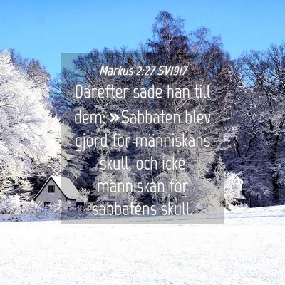 Picture 04 - Markus 2:27 SV1917 - Därefter sade han till dem: »Sabbaten blev - Bible Verse Picture
