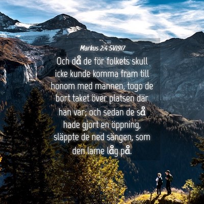 Picture 04 - Markus 2:4 SV1917 - Och då de för folkets skull icke kunde komma - Bible Verse Picture