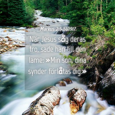 Picture 04 - Markus 2:5 SV1917 - När Jesus såg deras tro, sade han till den - Bible Verse Picture