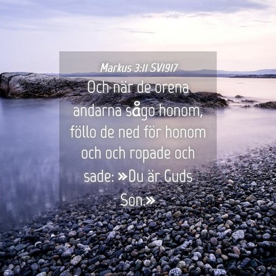 Picture 04 - Markus 3:11 SV1917 - Och när de orena andarna sågo honom, föllo de - Bible Verse Picture