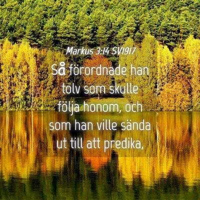 Picture 04 - Markus 3:14 SV1917 - Så förordnade han tolv som skulle följa honom, - Bible Verse Picture