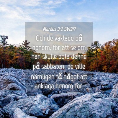 Picture 04 - Markus 3:2 SV1917 - Och de vaktade på honom, för att se om han - Bible Verse Picture