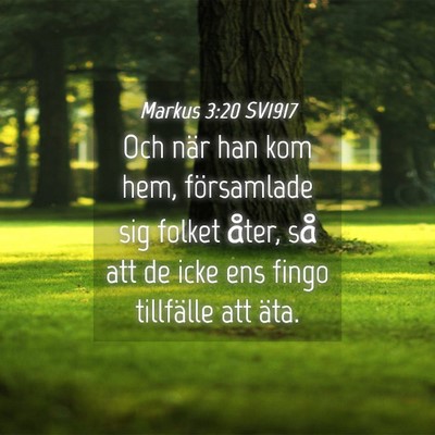 Picture 04 - Markus 3:20 SV1917 - Och när han kom hem, församlade sig folket - Bible Verse Picture