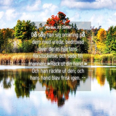 Picture 04 - Markus 3:5 SV1917 - Då såg han sig omkring på dem med vrede, - Bible Verse Picture