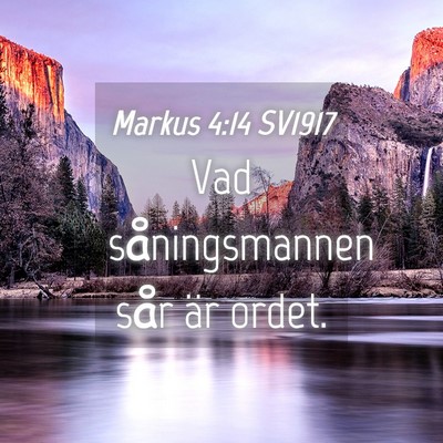 Picture 04 - Markus 4:14 SV1917 - Vad såningsmannen sår är - Bible Verse Picture