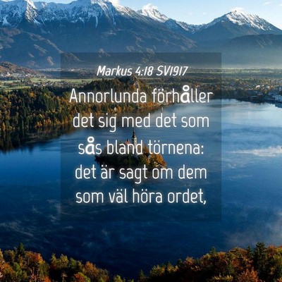 Picture 04 - Markus 4:18 SV1917 - Annorlunda förhåller det sig med det som sås - Bible Verse Picture