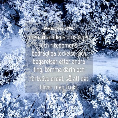 Picture 04 - Markus 4:19 SV1917 - men låta tidens omsorger och rikedomens - Bible Verse Picture