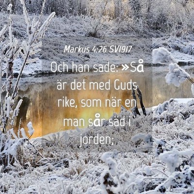 Picture 04 - Markus 4:26 SV1917 - Och han sade: »Så är det med Guds rike, som - Bible Verse Picture