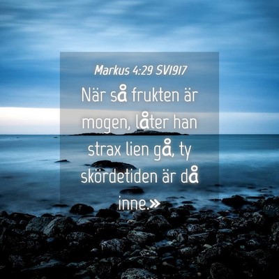 Picture 04 - Markus 4:29 SV1917 - När så frukten är mogen, låter han strax lien - Bible Verse Picture