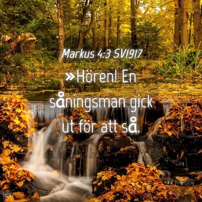 Picture 04 - Markus 4:3 SV1917 - »Hören! En såningsman gick ut för att - Bible Verse Picture