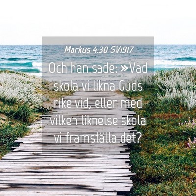 Picture 04 - Markus 4:30 SV1917 - Och han sade: »Vad skola vi likna Guds rike vid, - Bible Verse Picture
