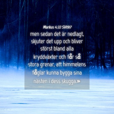 Picture 04 - Markus 4:32 SV1917 - men sedan det är nedlagt, skjuter det upp och - Bible Verse Picture