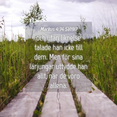 Picture 04 - Markus 4:34 SV1917 - och utan liknelse talade han icke till dem. Men - Bible Verse Picture