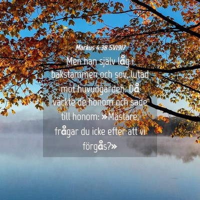Picture 04 - Markus 4:38 SV1917 - Men han själv låg i bakstammen och sov, lutad - Bible Verse Picture