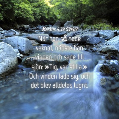 Picture 04 - Markus 4:39 SV1917 - När han så hade vaknat, näpste han vinden och - Bible Verse Picture