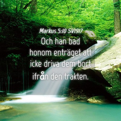 Picture 04 - Markus 5:10 SV1917 - Och han bad honom enträget att icke driva dem - Bible Verse Picture