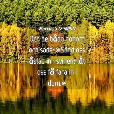 Picture 04 - Markus 5:12 SV1917 - Och de bådo honom och sade: »Sänd oss åstad - Bible Verse Picture