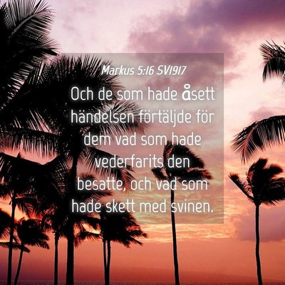 Picture 04 - Markus 5:16 SV1917 - Och de som hade åsett händelsen förtäljde - Bible Verse Picture