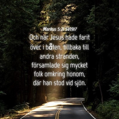 Picture 04 - Markus 5:21 SV1917 - Och när Jesus hade farit över i båten, - Bible Verse Picture