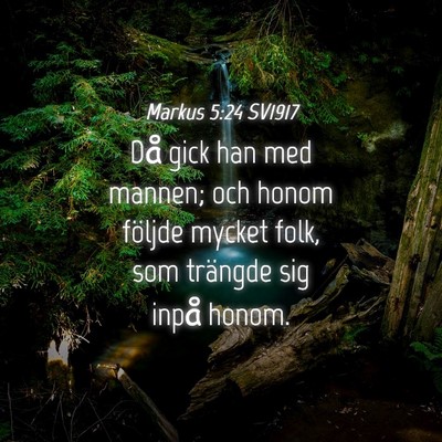 Picture 04 - Markus 5:24 SV1917 - Då gick han med mannen; och honom följde mycket - Bible Verse Picture