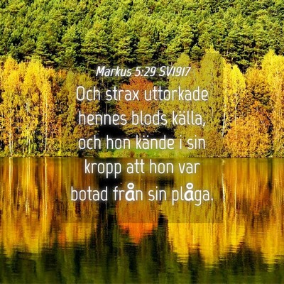 Picture 04 - Markus 5:29 SV1917 - Och strax uttorkade hennes blods källa, och hon - Bible Verse Picture