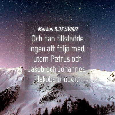 Picture 04 - Markus 5:37 SV1917 - Och han tillstadde ingen att följa med, utom - Bible Verse Picture