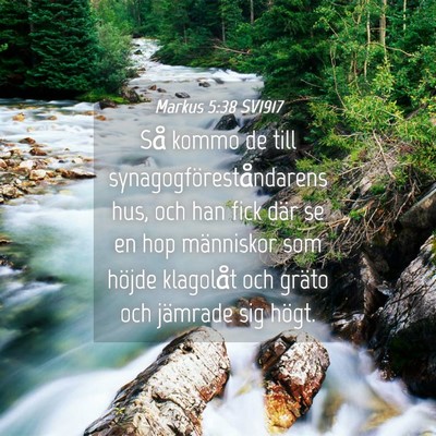 Picture 04 - Markus 5:38 SV1917 - Så kommo de till synagogföreståndarens hus, - Bible Verse Picture