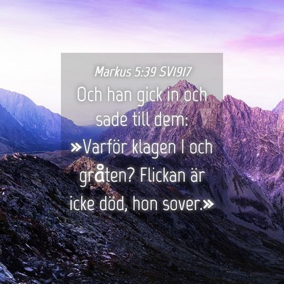 Picture 04 - Markus 5:39 SV1917 - Och han gick in och sade till dem: »Varför - Bible Verse Picture