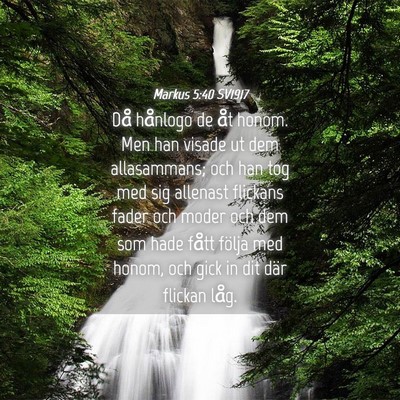Picture 04 - Markus 5:40 SV1917 - Då hånlogo de åt honom. Men han visade ut dem - Bible Verse Picture