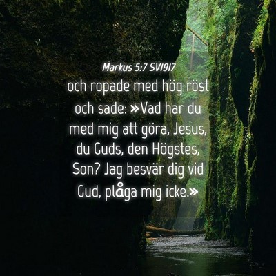 Picture 04 - Markus 5:7 SV1917 - och ropade med hög röst och sade: »Vad har du - Bible Verse Picture