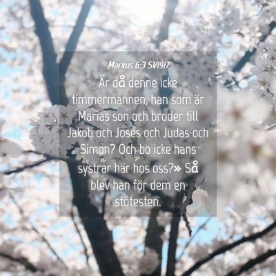 Picture 04 - Markus 6:3 SV1917 - Är då denne icke timmermannen, han som är - Bible Verse Picture