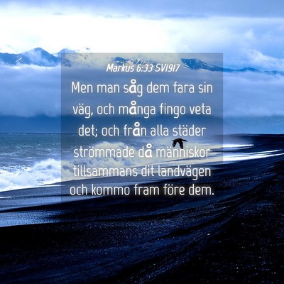 Picture 04 - Markus 6:33 SV1917 - Men man såg dem fara sin väg, och många fingo - Bible Verse Picture