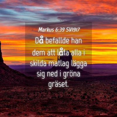 Picture 04 - Markus 6:39 SV1917 - Då befallde han dem att låta alla i skilda - Bible Verse Picture