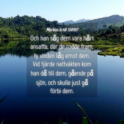Picture 04 - Markus 6:48 SV1917 - Och han såg dem vara hårt ansatta, där de - Bible Verse Picture
