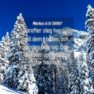 Picture 04 - Markus 6:51 SV1917 - Därefter steg han upp till dem i båten, och - Bible Verse Picture